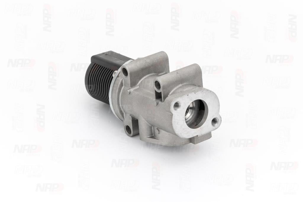 Válvula EGR NAP carPARTS ref. CAV10017
