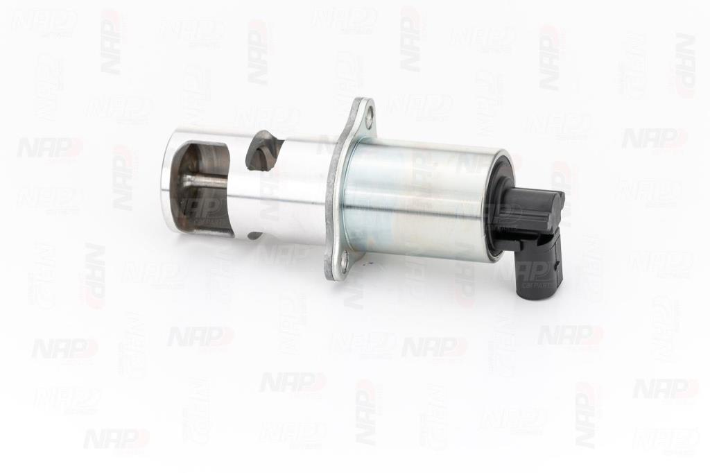 Vanne EGR NAP carPARTS ref. CAV10020