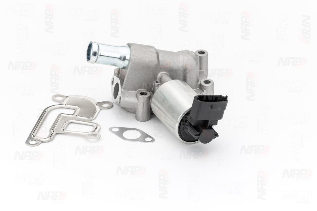 Válvula EGR NAP carPARTS ref. CAV10023