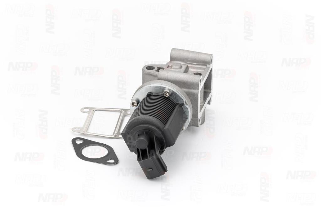 Vanne EGR NAP carPARTS ref. CAV10029