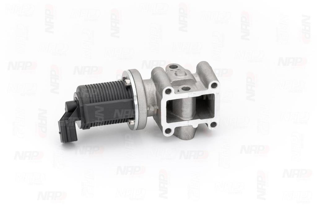 Vanne EGR NAP carPARTS ref. CAV10029