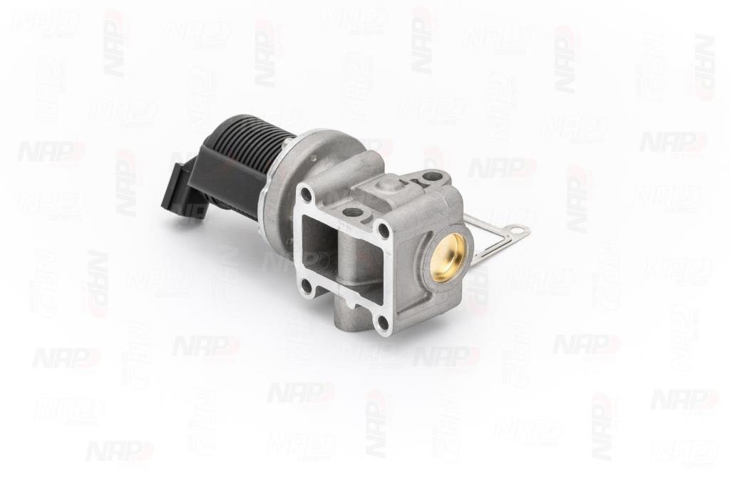 Vanne EGR NAP carPARTS ref. CAV10029