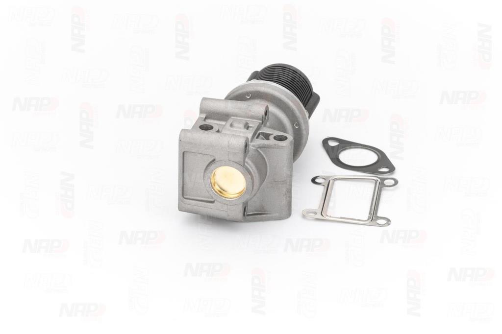 Vanne EGR NAP carPARTS ref. CAV10029