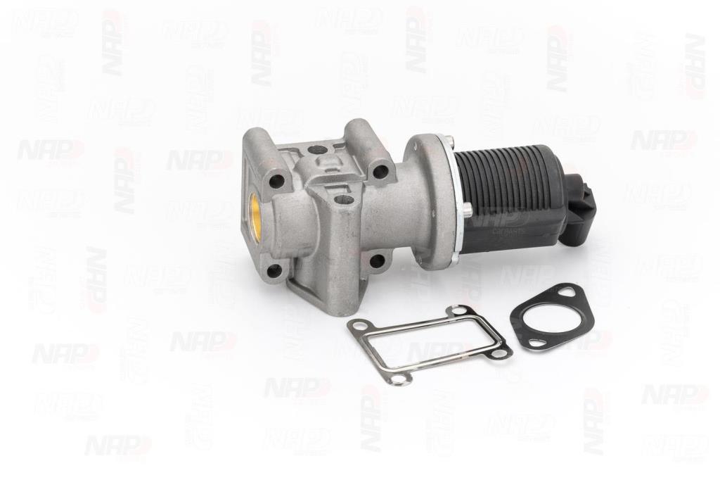 Vanne EGR NAP carPARTS ref. CAV10029