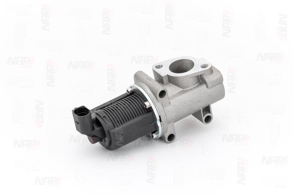Vanne EGR NAP carPARTS ref. CAV10031