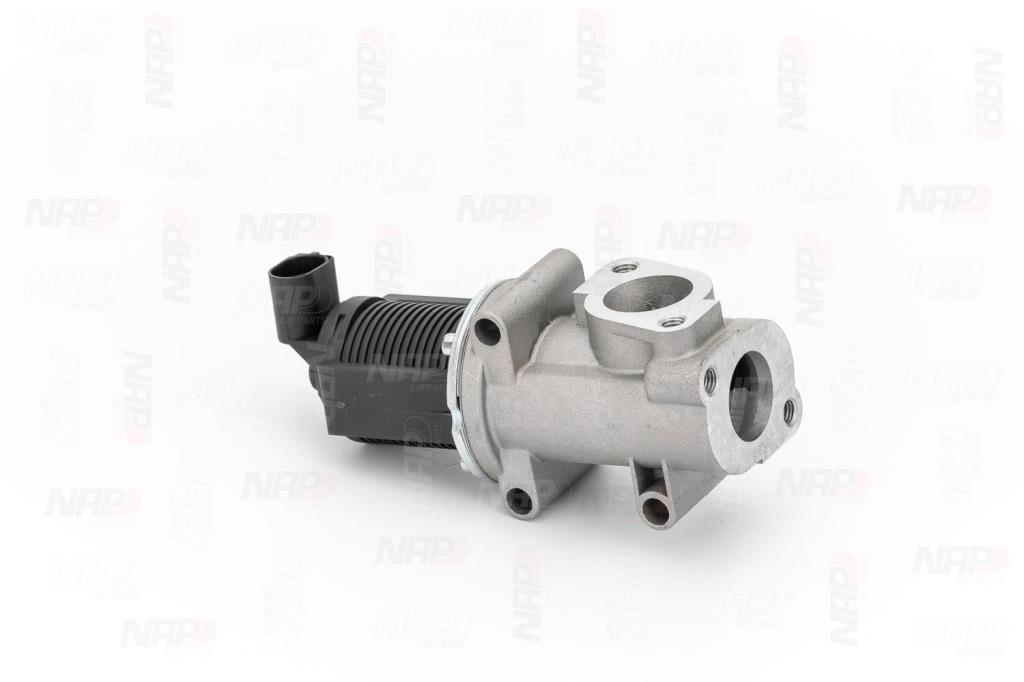 Vanne EGR NAP carPARTS ref. CAV10031