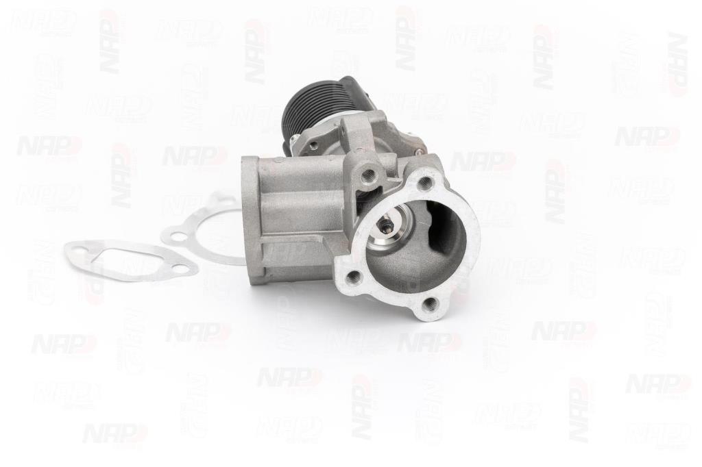 Válvula EGR NAP carPARTS ref. CAV10036