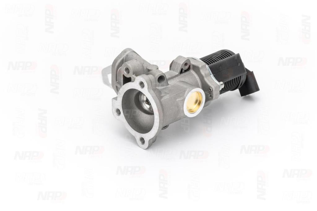 Válvula EGR NAP carPARTS ref. CAV10036