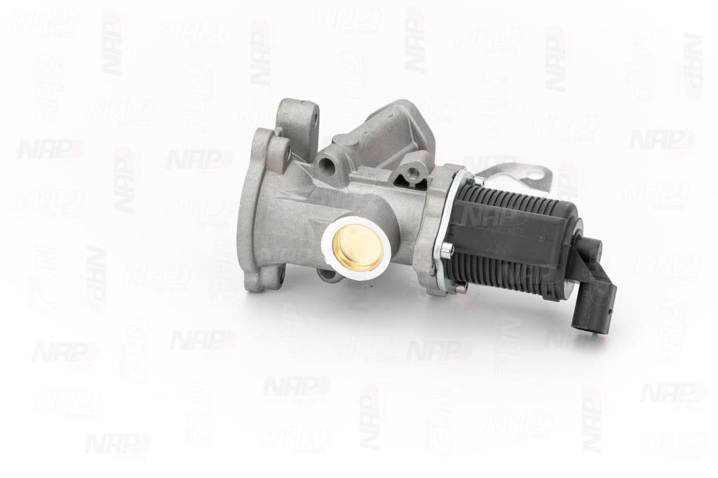Válvula EGR NAP carPARTS ref. CAV10036