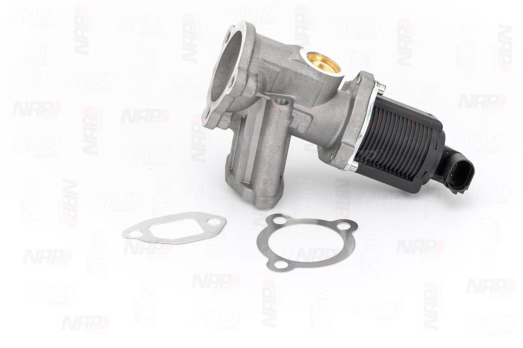 Válvula EGR NAP carPARTS ref. CAV10037