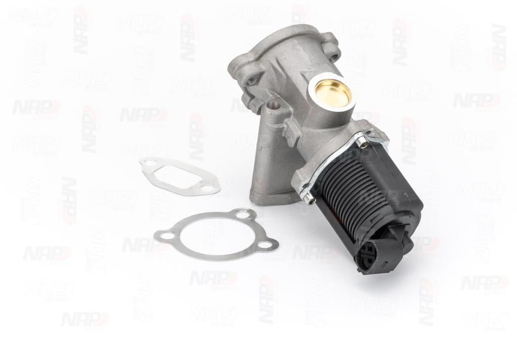 Válvula EGR NAP carPARTS ref. CAV10037