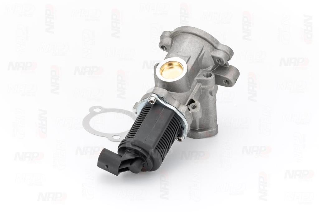 Válvula EGR NAP carPARTS ref. CAV10037