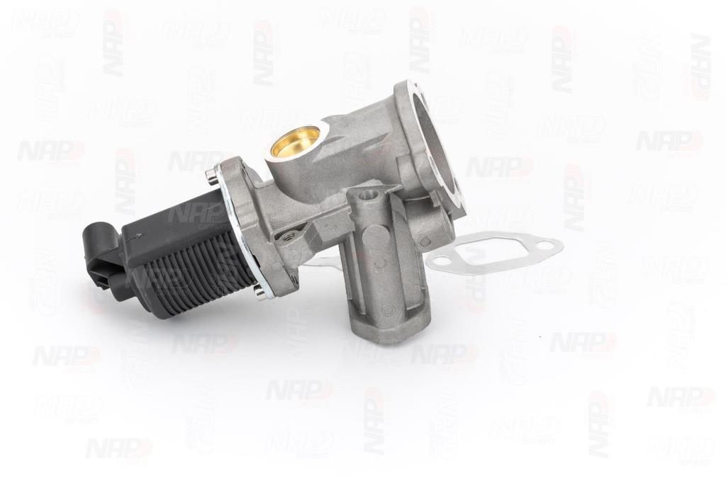 Válvula EGR NAP carPARTS ref. CAV10037