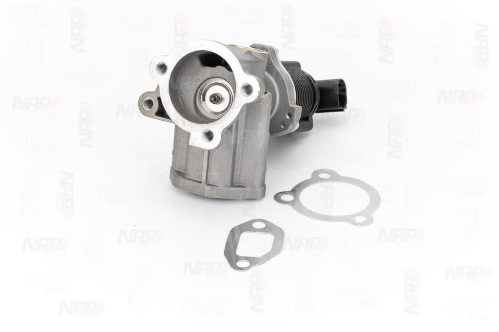 Válvula EGR NAP carPARTS ref. CAV10037
