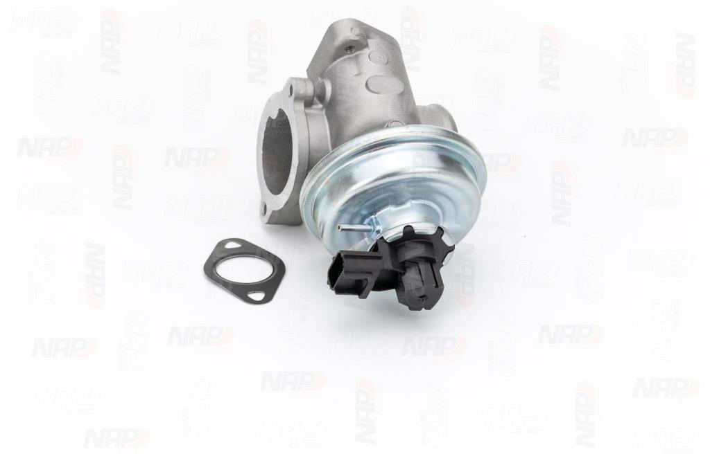 Vanne EGR NAP carPARTS ref. CAV10039