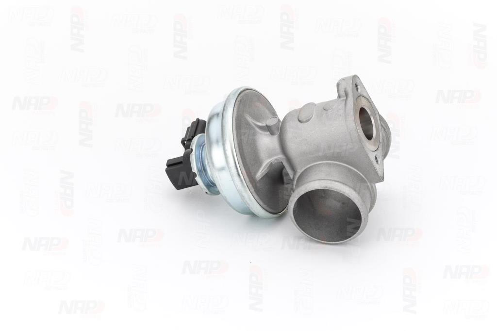 Vanne EGR NAP carPARTS ref. CAV10039