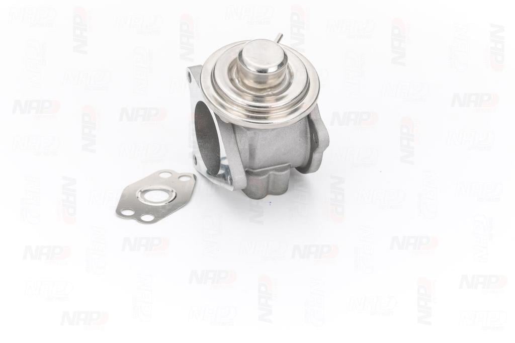 Válvula EGR NAP carPARTS ref. CAV10041