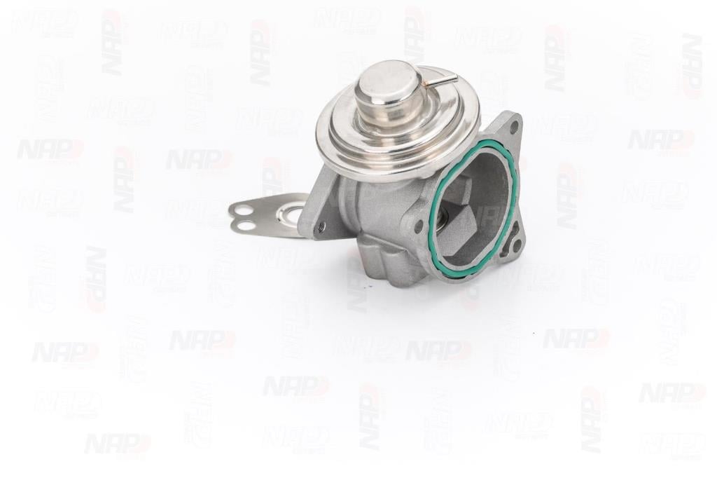 Válvula EGR NAP carPARTS ref. CAV10041