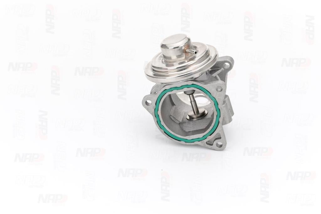 Válvula EGR NAP carPARTS ref. CAV10041