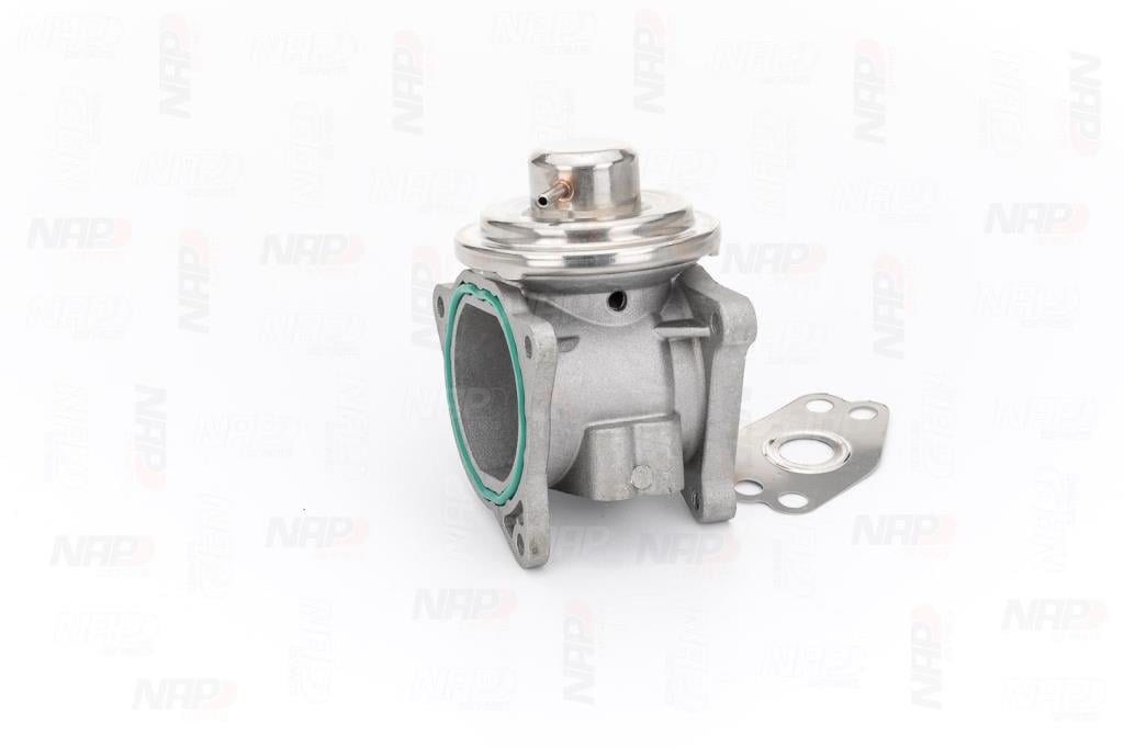 Válvula EGR NAP carPARTS ref. CAV10041
