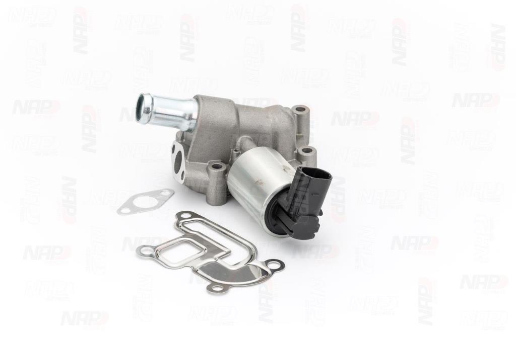 Válvula EGR NAP carPARTS ref. CAV10045