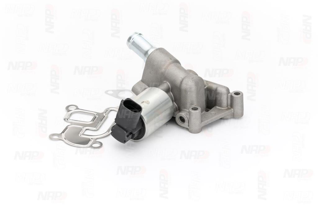 Válvula EGR NAP carPARTS ref. CAV10045