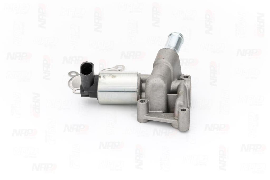 Válvula EGR NAP carPARTS ref. CAV10045