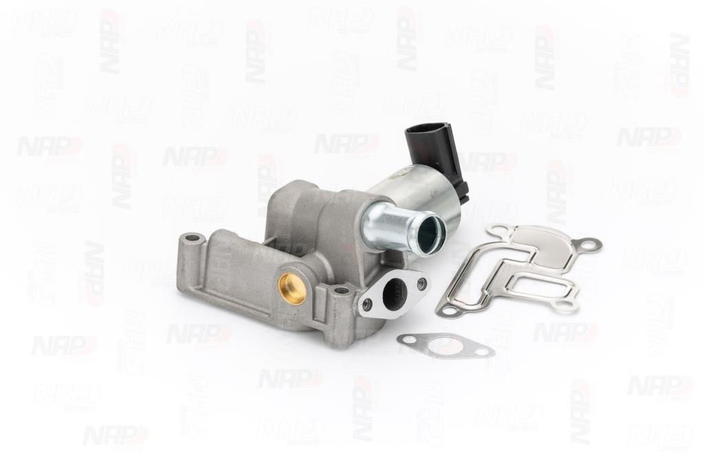 Válvula EGR NAP carPARTS ref. CAV10045