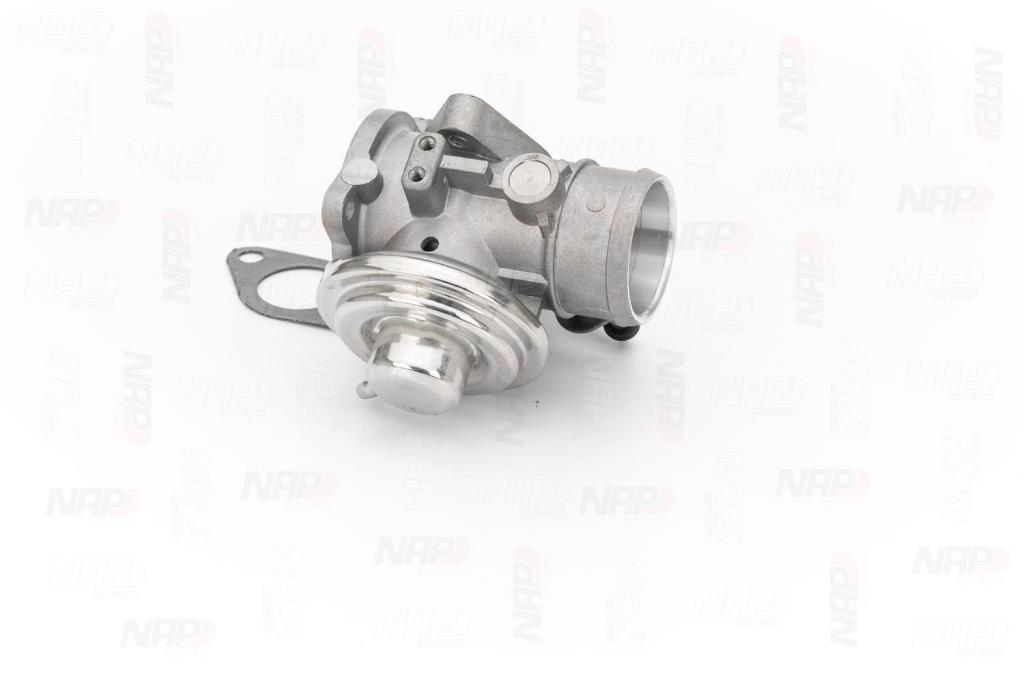 Válvula EGR NAP carPARTS ref. CAV10048