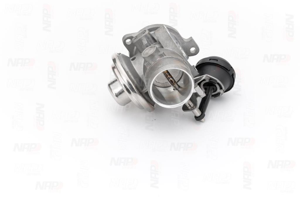Válvula EGR NAP carPARTS ref. CAV10048