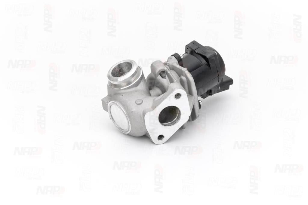 Vanne EGR NAP carPARTS ref. CAV10052