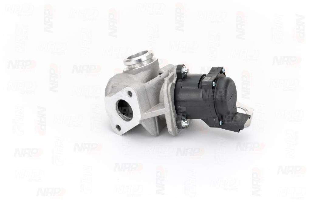 Vanne EGR NAP carPARTS ref. CAV10052