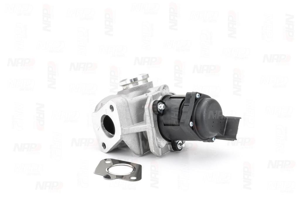 Válvula EGR NAP carPARTS ref. CAV10053