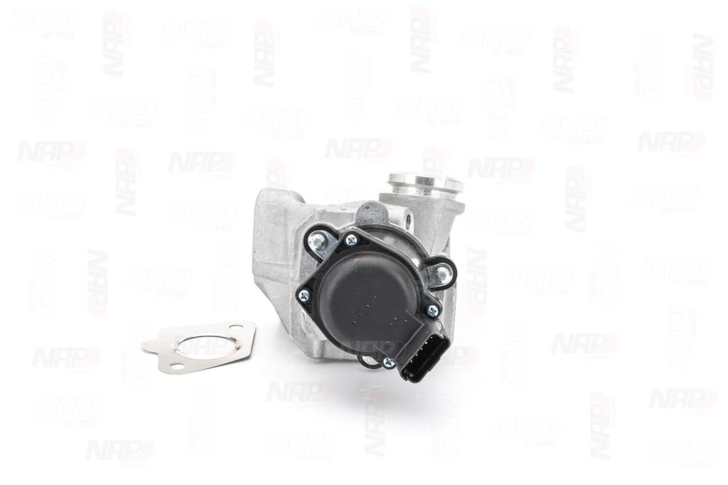 Válvula EGR NAP carPARTS ref. CAV10053