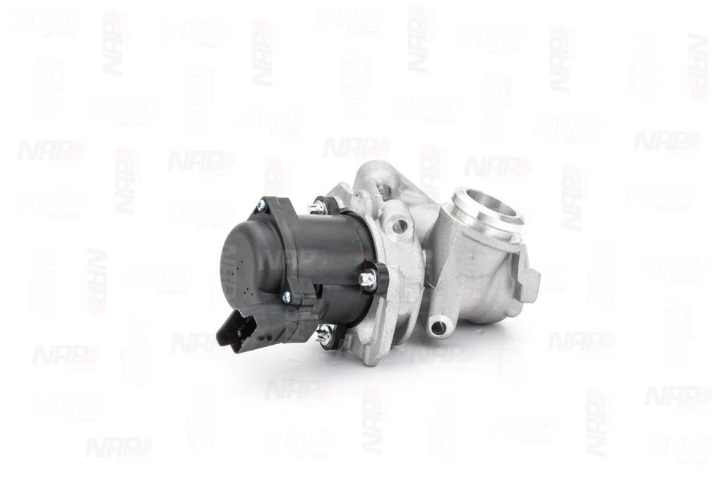 Válvula EGR NAP carPARTS ref. CAV10053