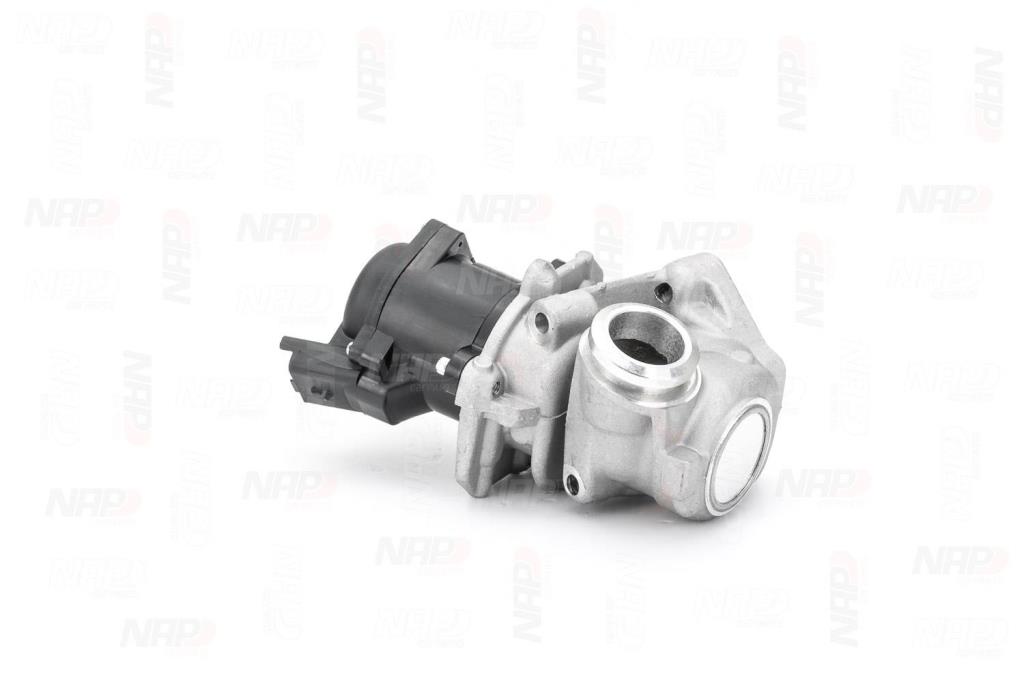 Válvula EGR NAP carPARTS ref. CAV10053