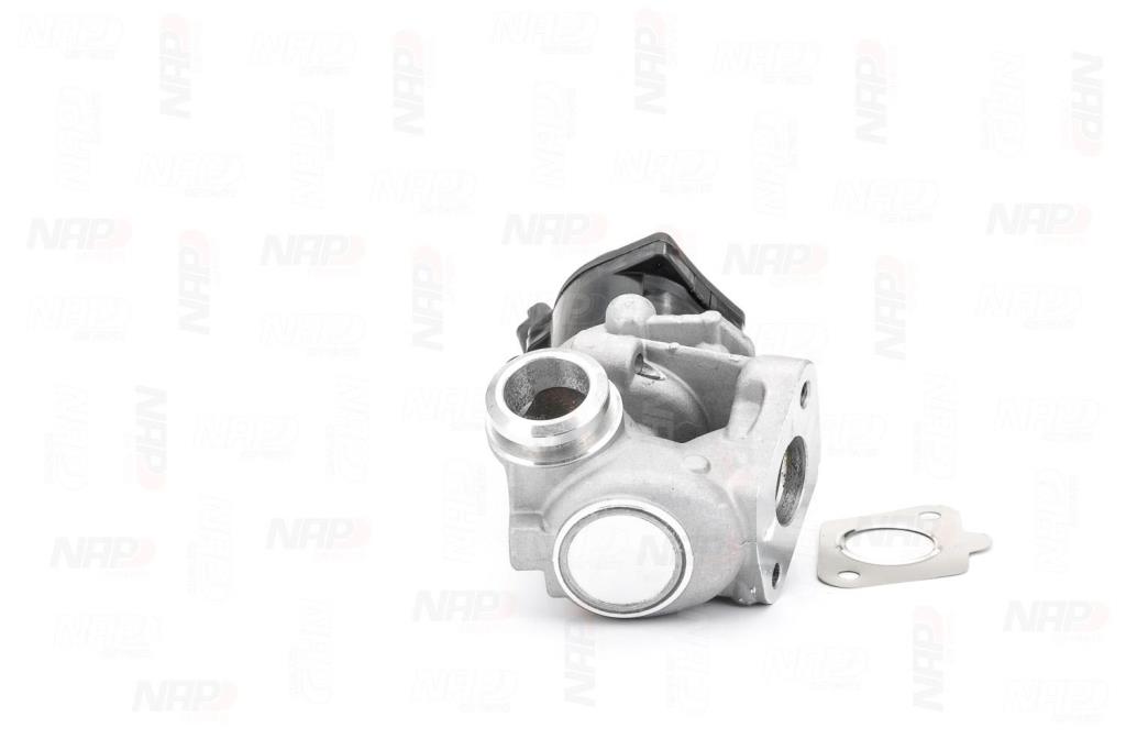Válvula EGR NAP carPARTS ref. CAV10053