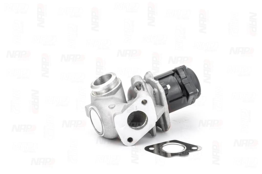 Válvula EGR NAP carPARTS ref. CAV10053