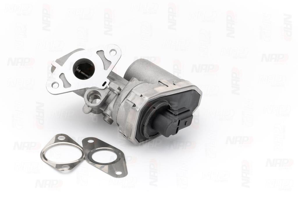Válvula EGR NAP carPARTS ref. CAV10055