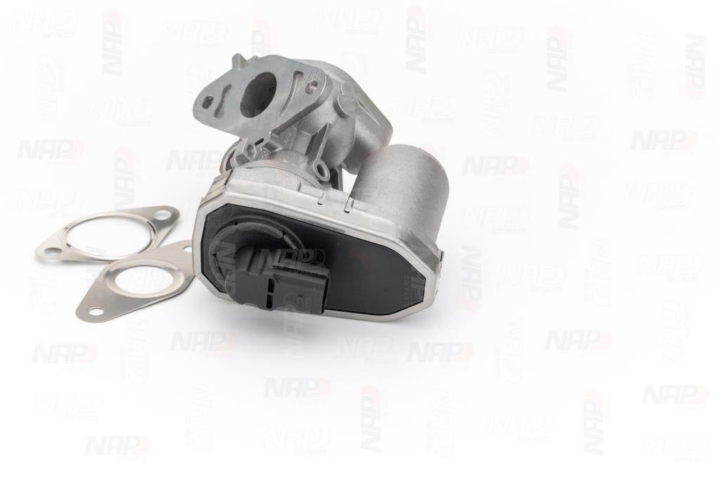 Válvula EGR NAP carPARTS ref. CAV10055