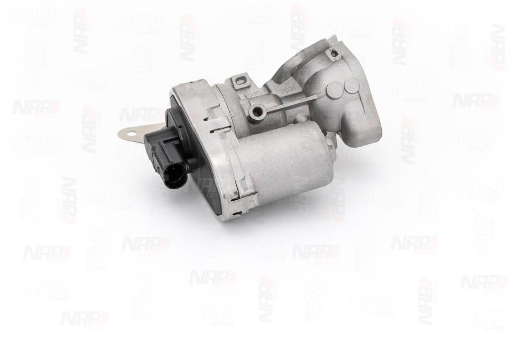 Válvula EGR NAP carPARTS ref. CAV10055