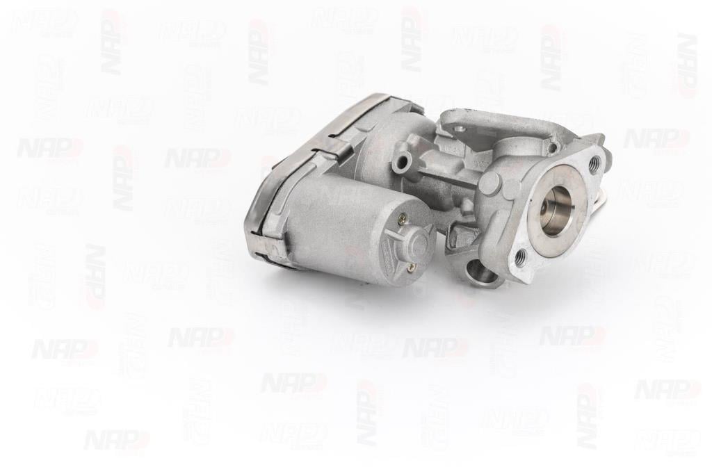 Válvula EGR NAP carPARTS ref. CAV10055