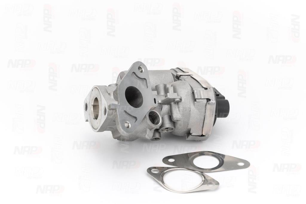 Válvula EGR NAP carPARTS ref. CAV10055