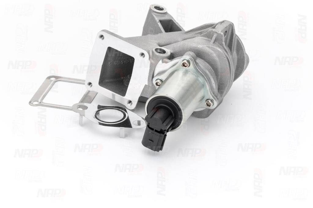 Válvula EGR NAP carPARTS ref. CAV10056