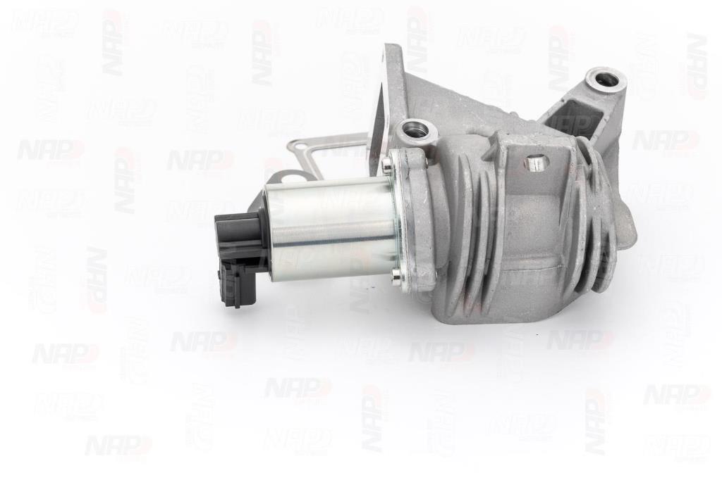 Válvula EGR NAP carPARTS ref. CAV10056