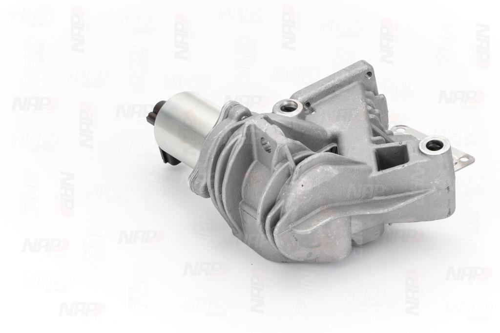 Válvula EGR NAP carPARTS ref. CAV10056