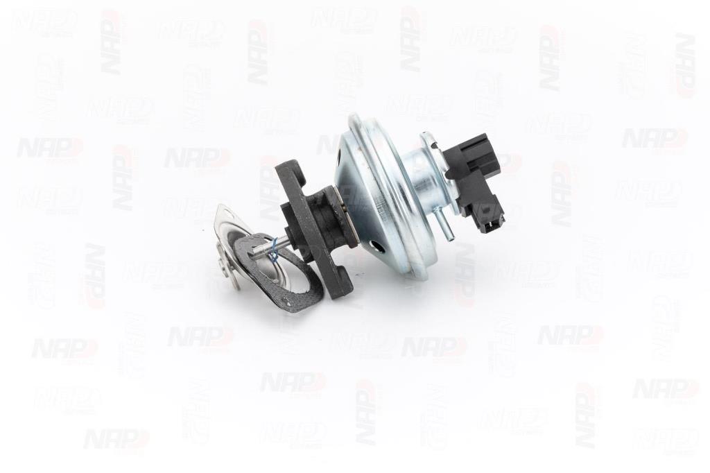 Válvula EGR NAP carPARTS ref. CAV10059