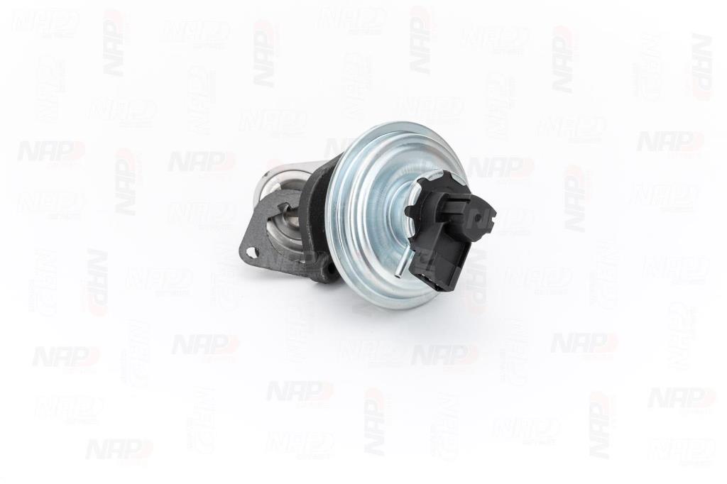 Válvula EGR NAP carPARTS ref. CAV10059
