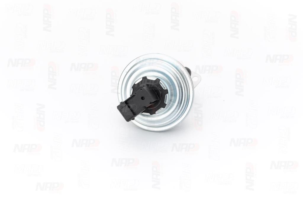 Válvula EGR NAP carPARTS ref. CAV10059