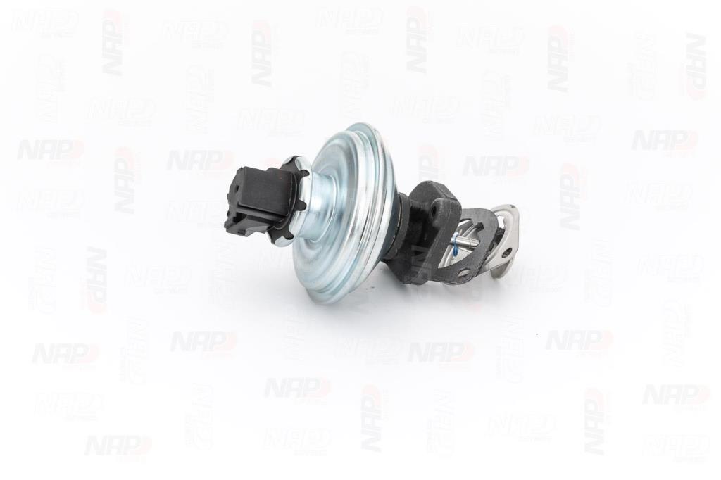Válvula EGR NAP carPARTS ref. CAV10059